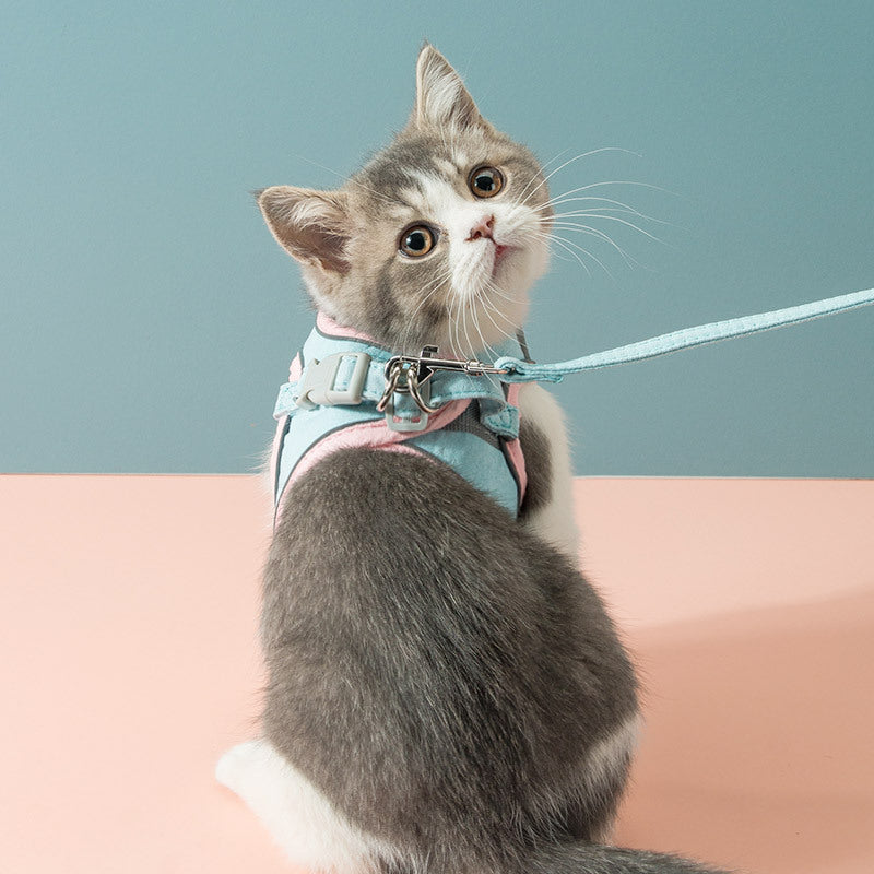 SafePaws™ Escape-Proof Cat Harness – Premium Chest Strap for Maximum Safety & Comfort