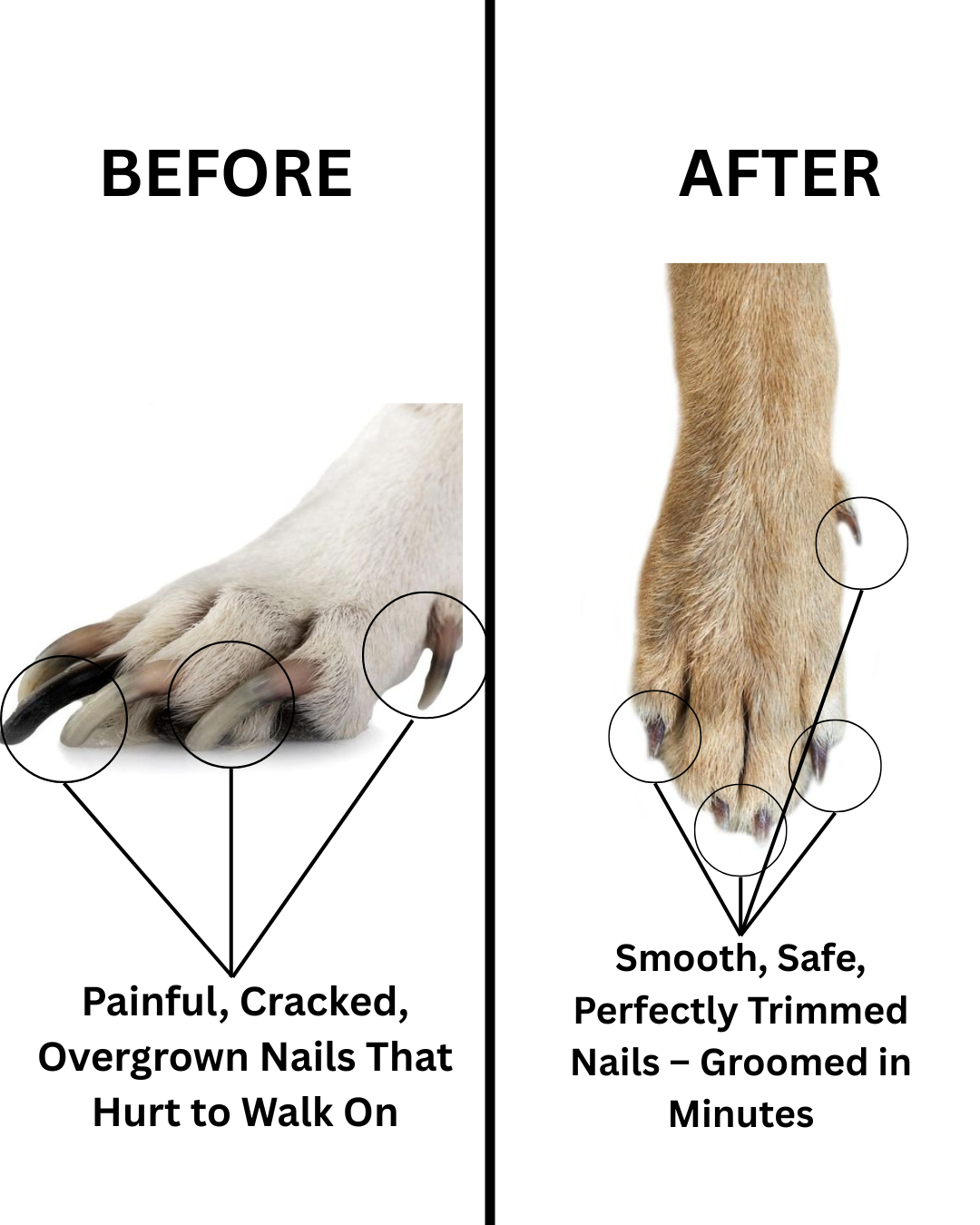 Battery-Powered Pet Nail Grinder™ – Gentle Nail Care for Large & Small Pets