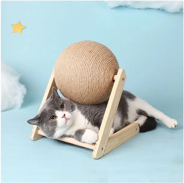 Store The Bark | Get The Meow