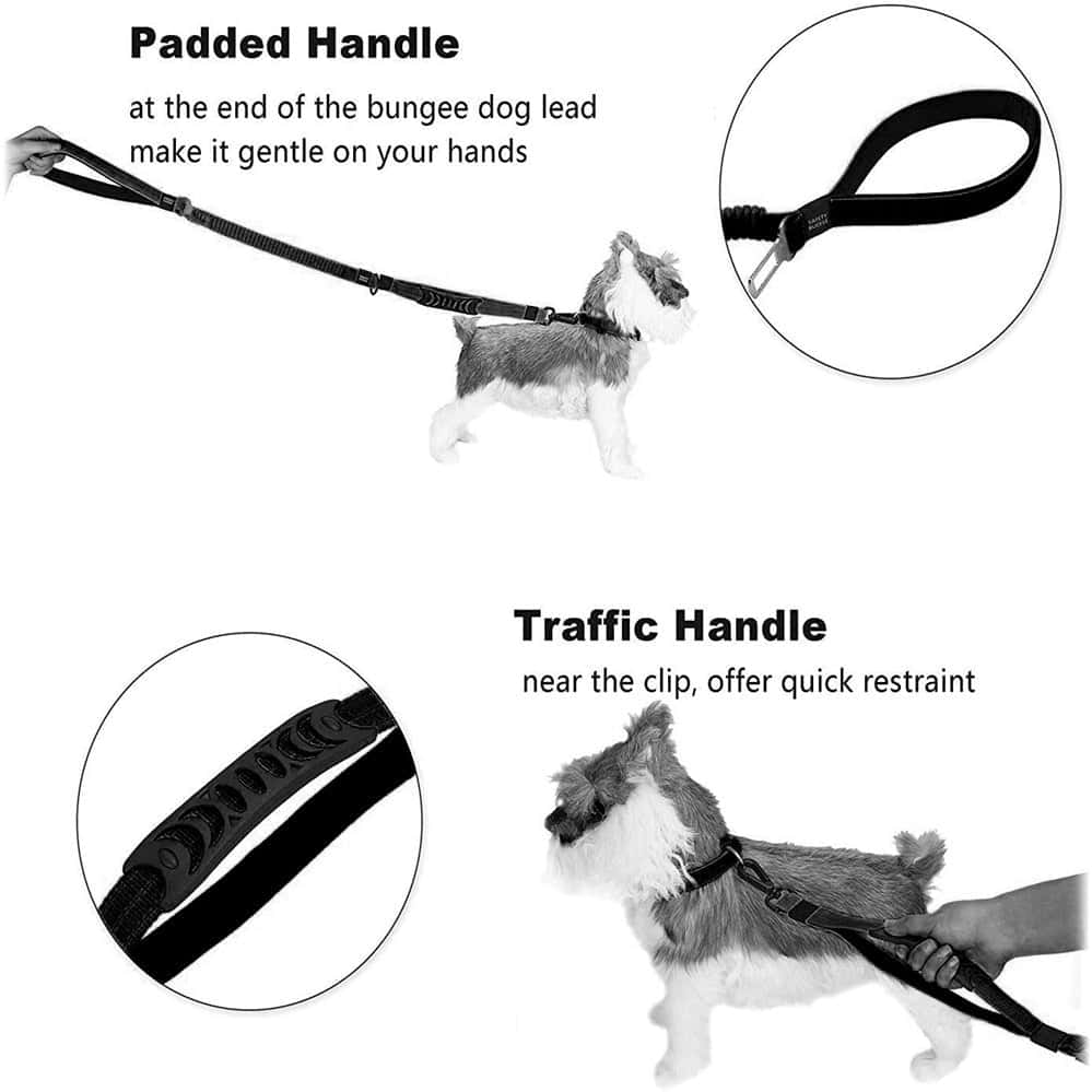 Super Durable and Adjustable Dog leash - Store The Bark | Get The Meow