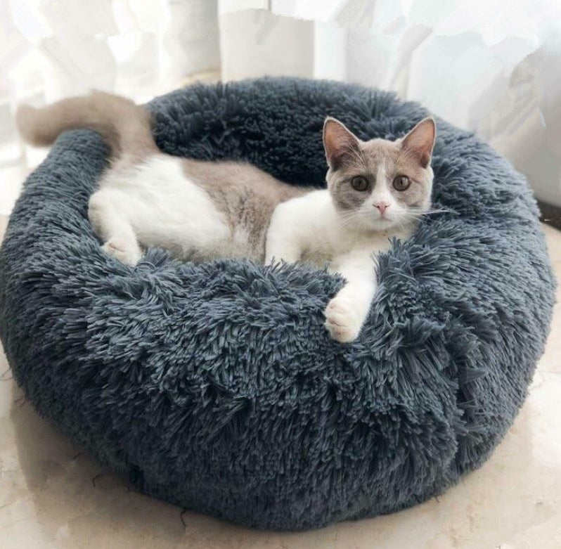 Store The Bark | Get The Meow