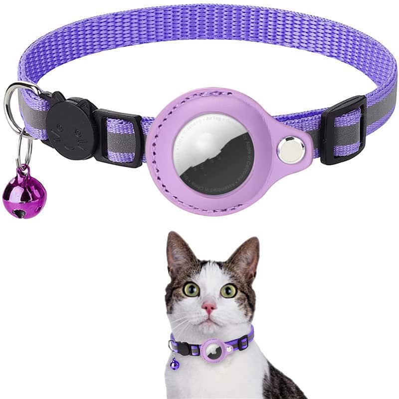 Store The Bark | Get The Meow