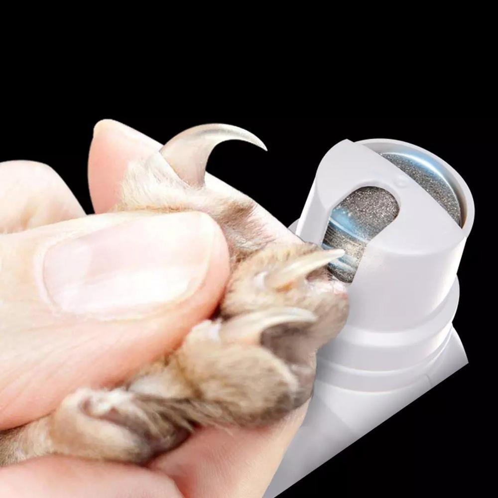 Store The Bark | Get The Meow
