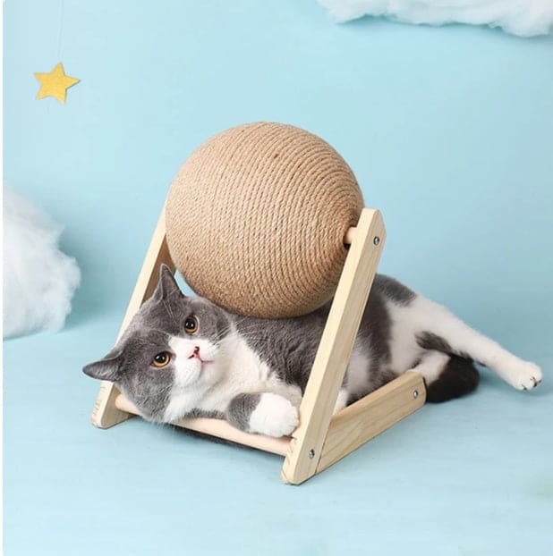 Store The Bark | Get The Meow
