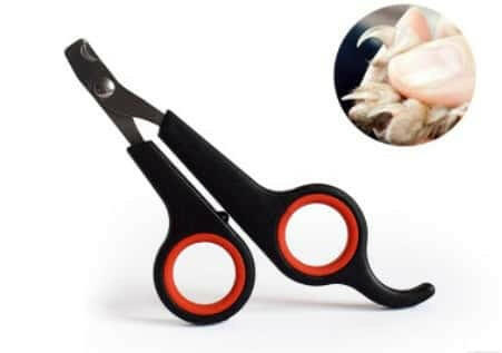 pet supplies, cute dog collar Easy to Use Dog and Cat Nail Clippers. - Store The Bark | Get The Meow