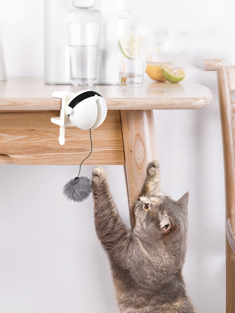 Store The Bark | Get The Meow
