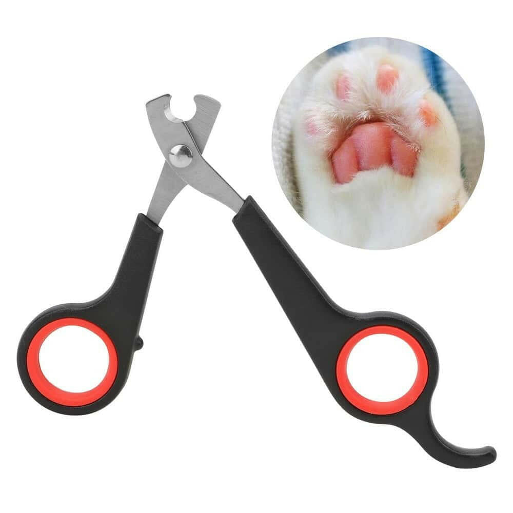 pet supplies, cute dog collar Easy to Use Dog and Cat Nail Clippers. - Store The Bark | Get The Meow