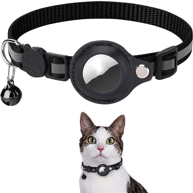 Store The Bark | Get The Meow
