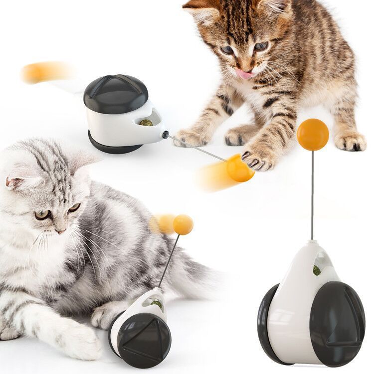 Store The Bark | Get The Meow