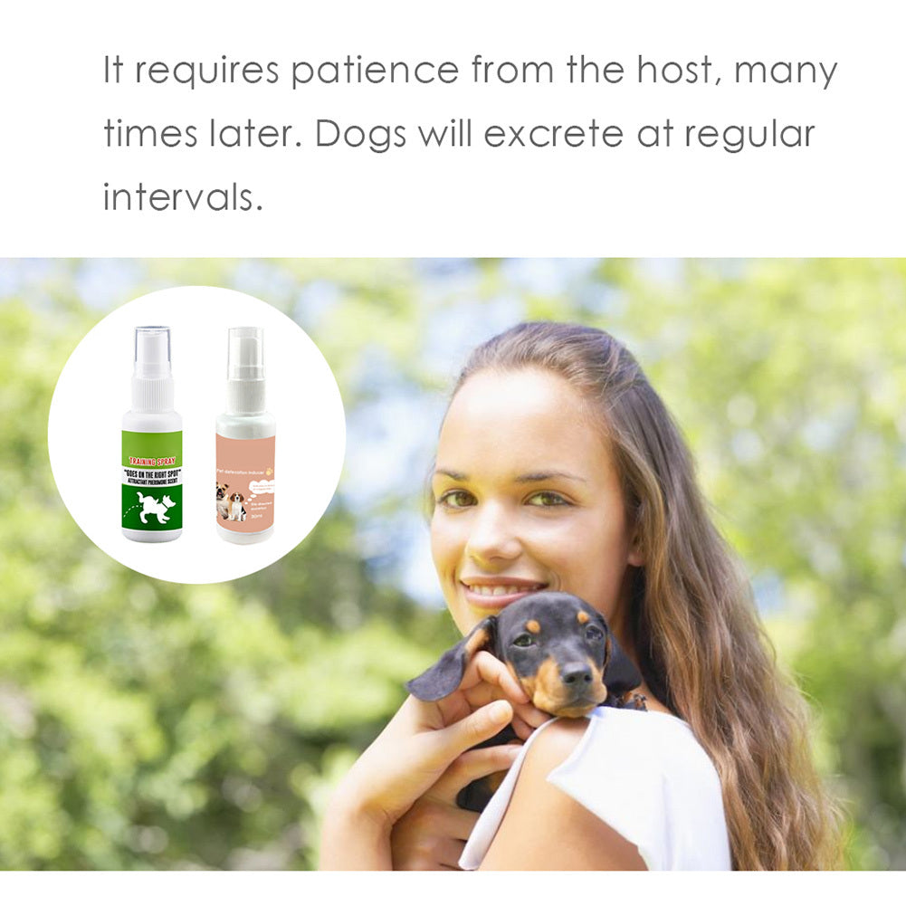 Store The Bark | Get The Meow
