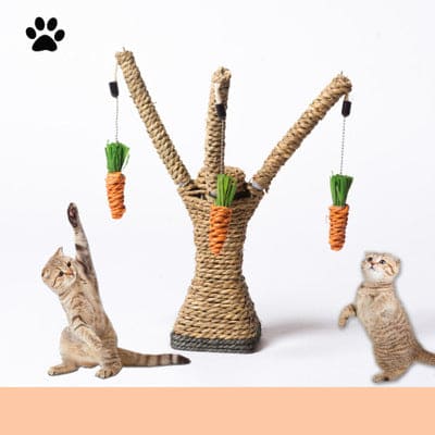 ClawCrafters™ Sisal Rope Cat Scratching Post & Climbing Frame – Durable Fun for Active Cats