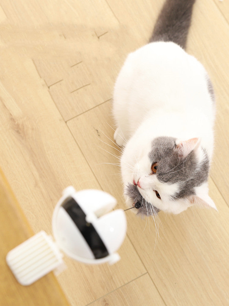 Store The Bark | Get The Meow