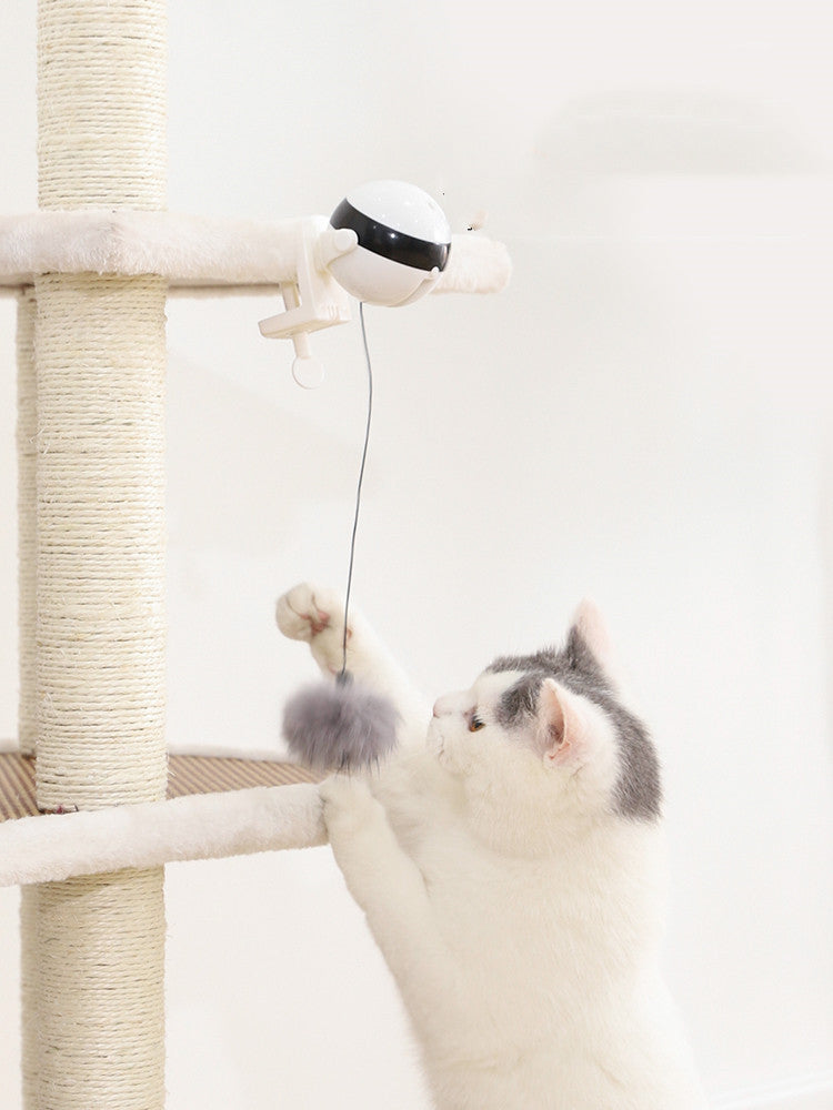 Store The Bark | Get The Meow