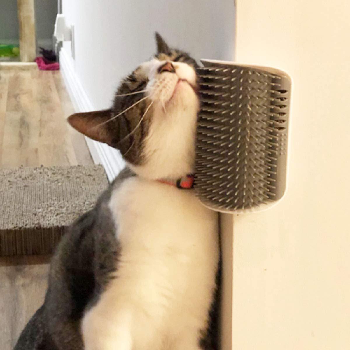 Store The Bark | Get The Meow