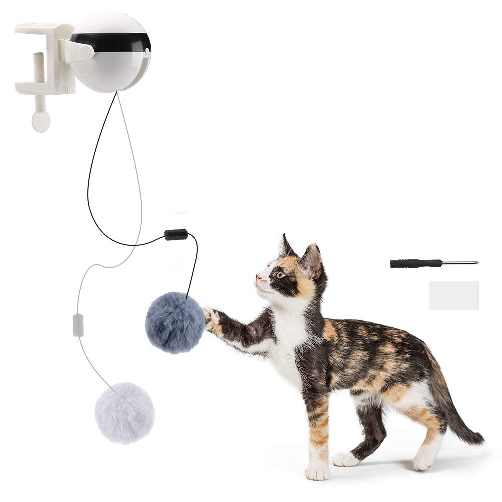 Store The Bark | Get The Meow