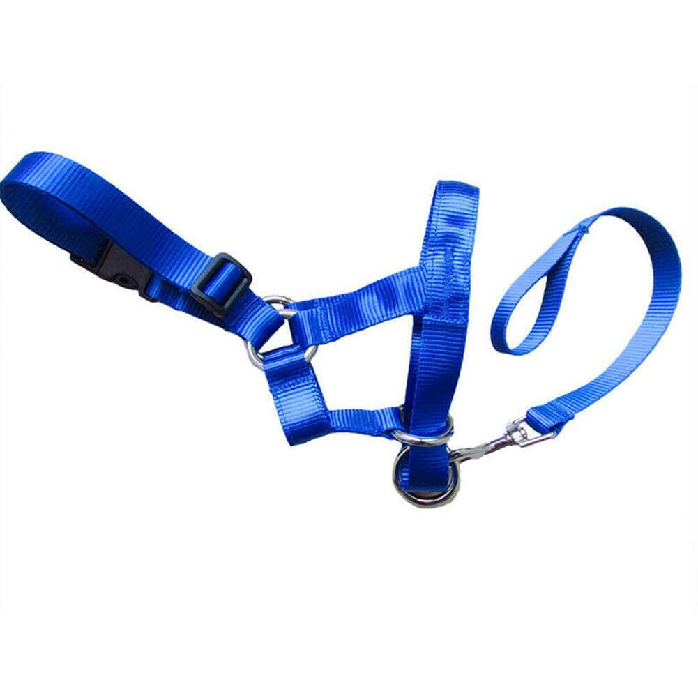 Super Useful Dog Rectification Leash - Store The Bark | Get The Meow