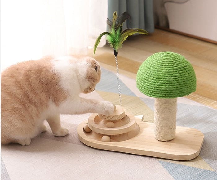Store The Bark | Get The Meow