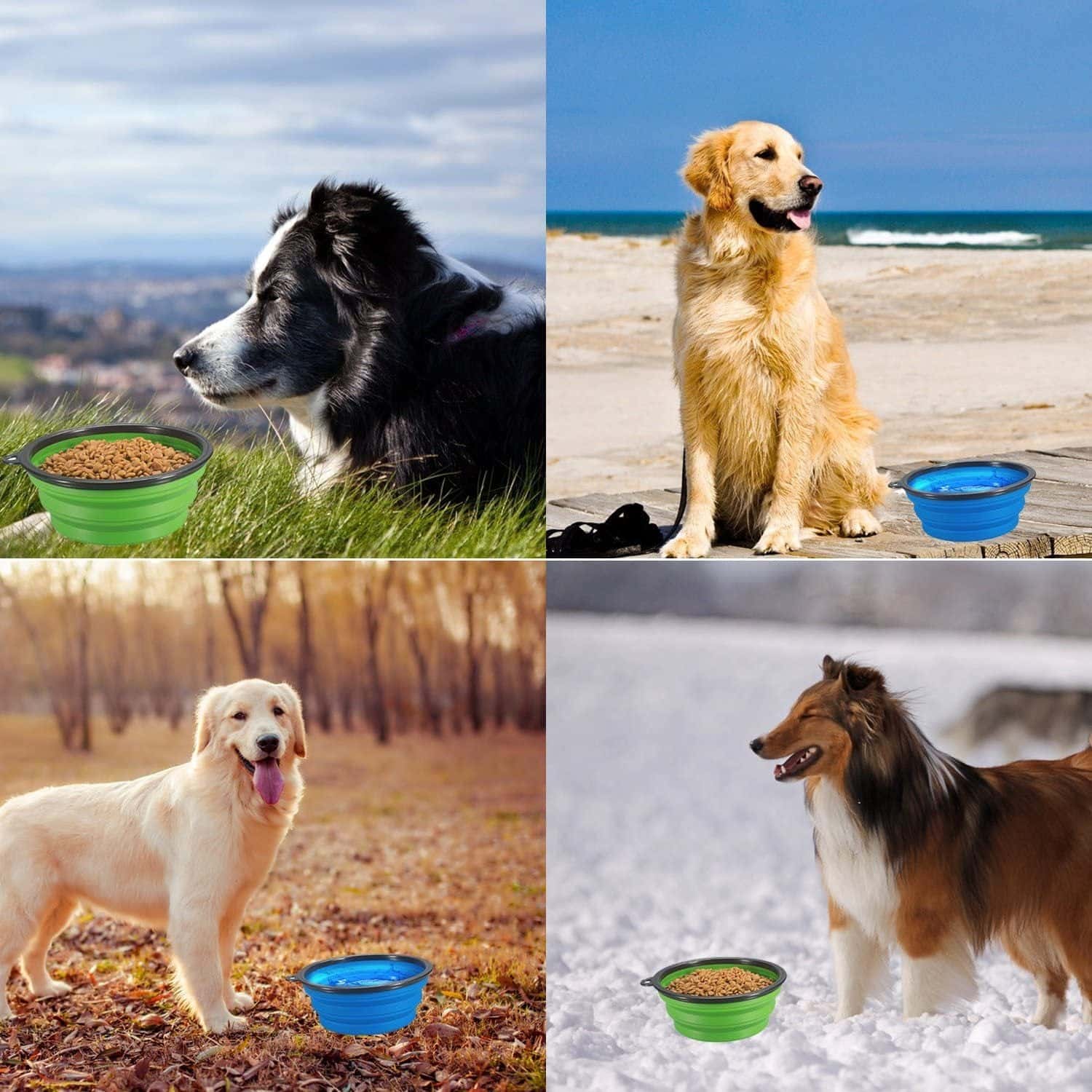 350 And 1000ML Dog Bowls Folding Silicone Puppy Food Container Portable Cat Water Feeder For Travel Walking Pet Supplies - Store The Bark | Get The Meow
