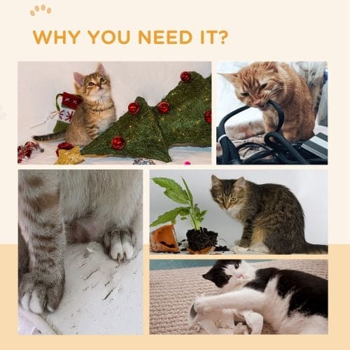 Store The Bark | Get The Meow