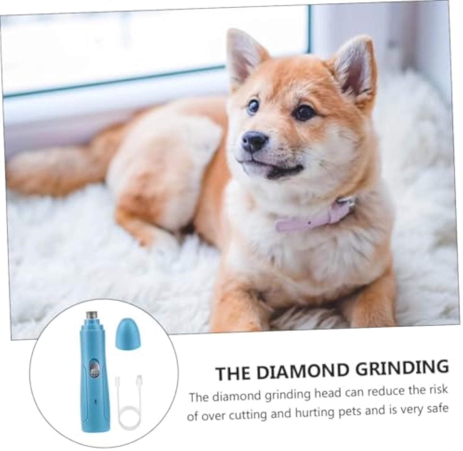 Store The Bark | Get The Meow