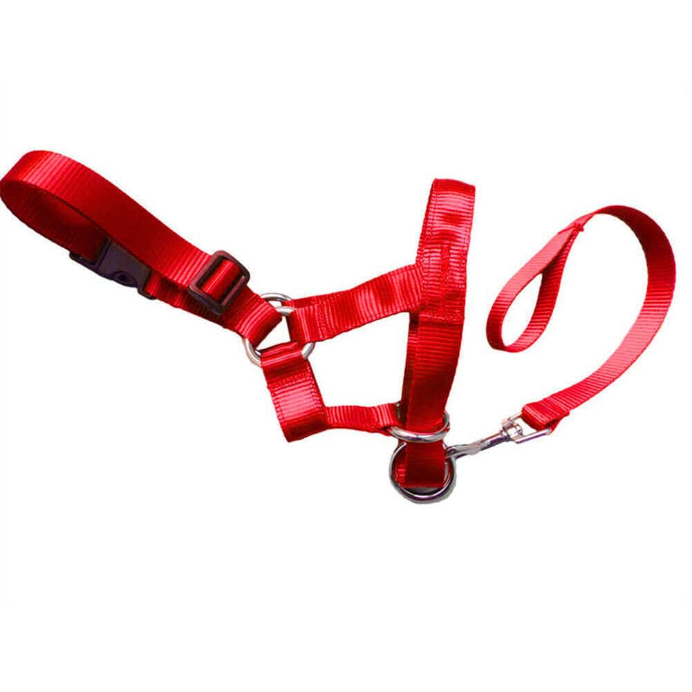 Super Useful Dog Rectification Leash - Store The Bark | Get The Meow
