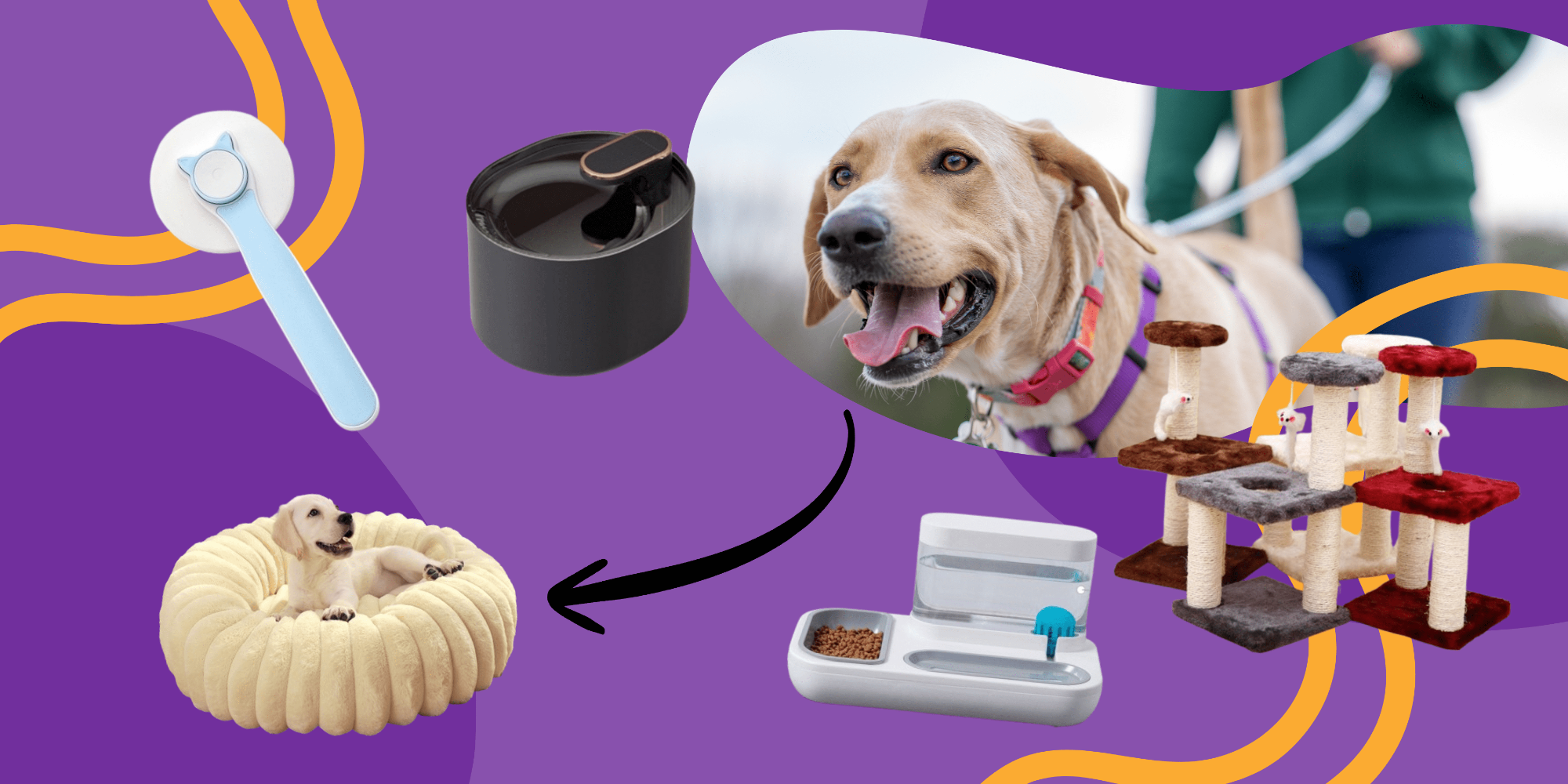 Store The Bark | Get The Meow