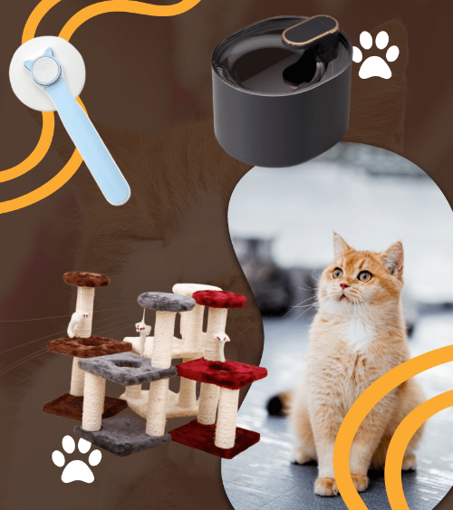 Store The Bark | Get The Meow