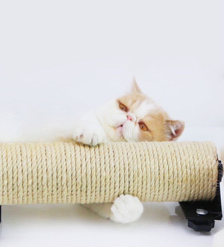 Store The Bark | Get The Meow
