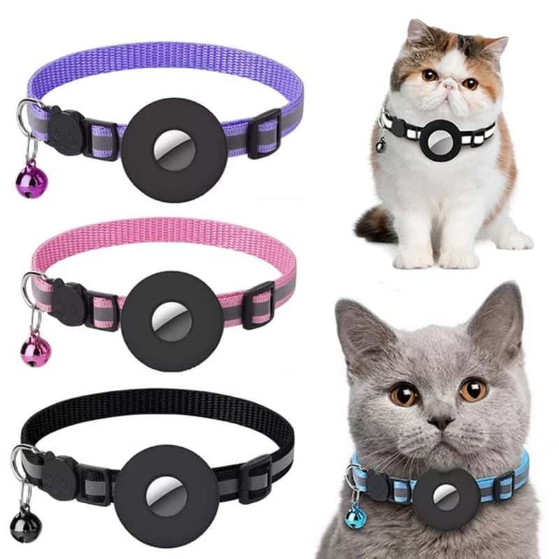 Store The Bark | Get The Meow