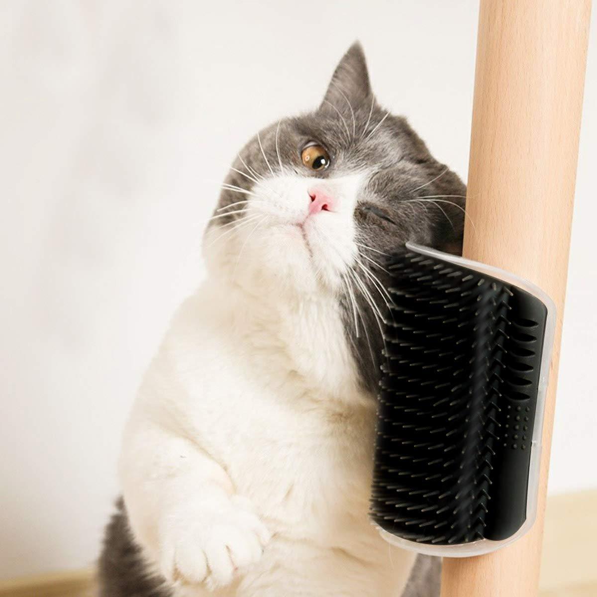 Store The Bark | Get The Meow