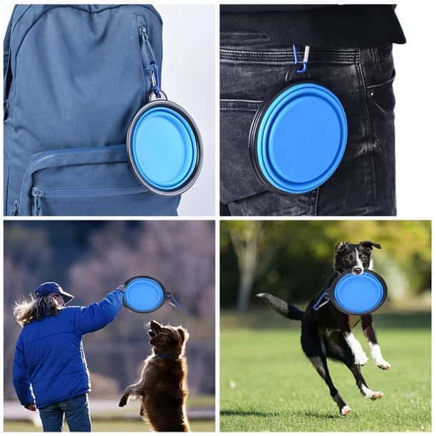 350 And 1000ML Dog Bowls Folding Silicone Puppy Food Container Portable Cat Water Feeder For Travel Walking Pet Supplies - Store The Bark | Get The Meow