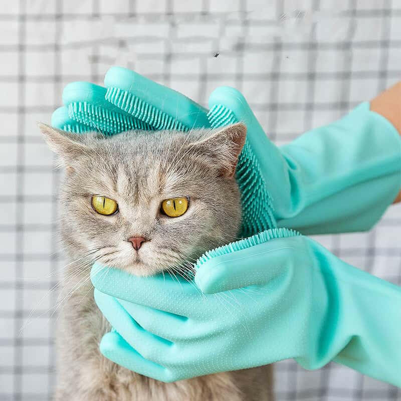 Comfortable and Good Quality Grooming and Scrubbing Brush Gloves - Store The Bark | Get The Meow