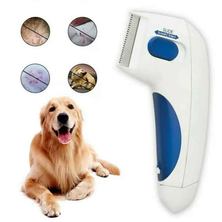 Electric Lice Cleaner That will get rid you them from your Pets - Store The Bark | Get The Meow