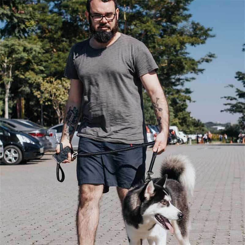 Super Durable and Adjustable Dog leash - Store The Bark | Get The Meow