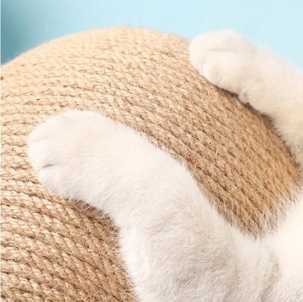 Store The Bark | Get The Meow