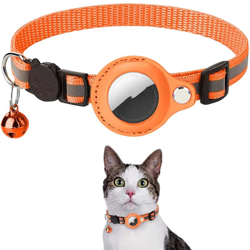 Store The Bark | Get The Meow