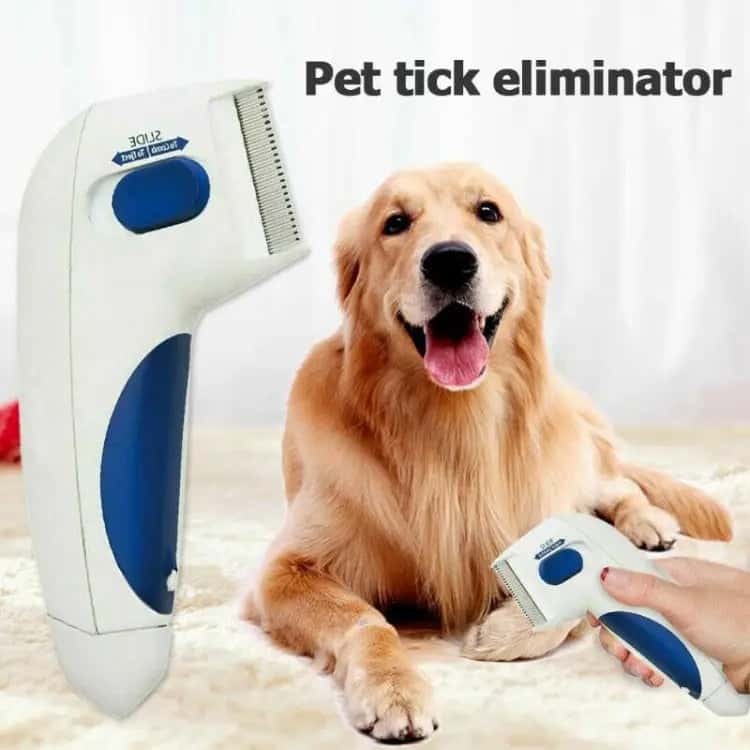 Electric Lice Cleaner That will get rid you them from your Pets - Store The Bark | Get The Meow